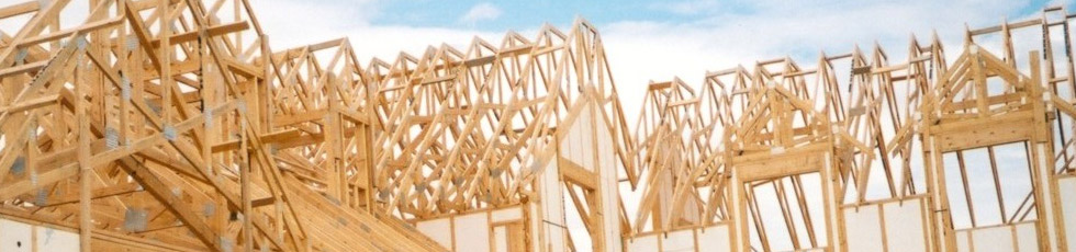 family building a house